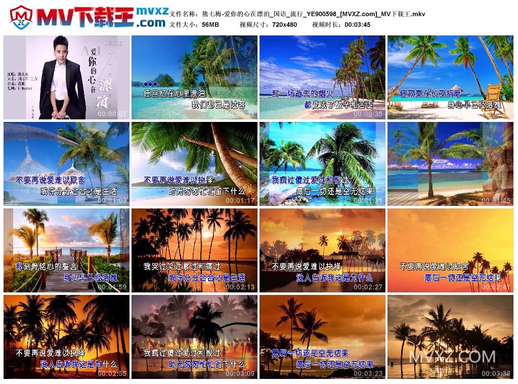 熊七梅-爱你的心在漂泊_国语_流行_YE900598